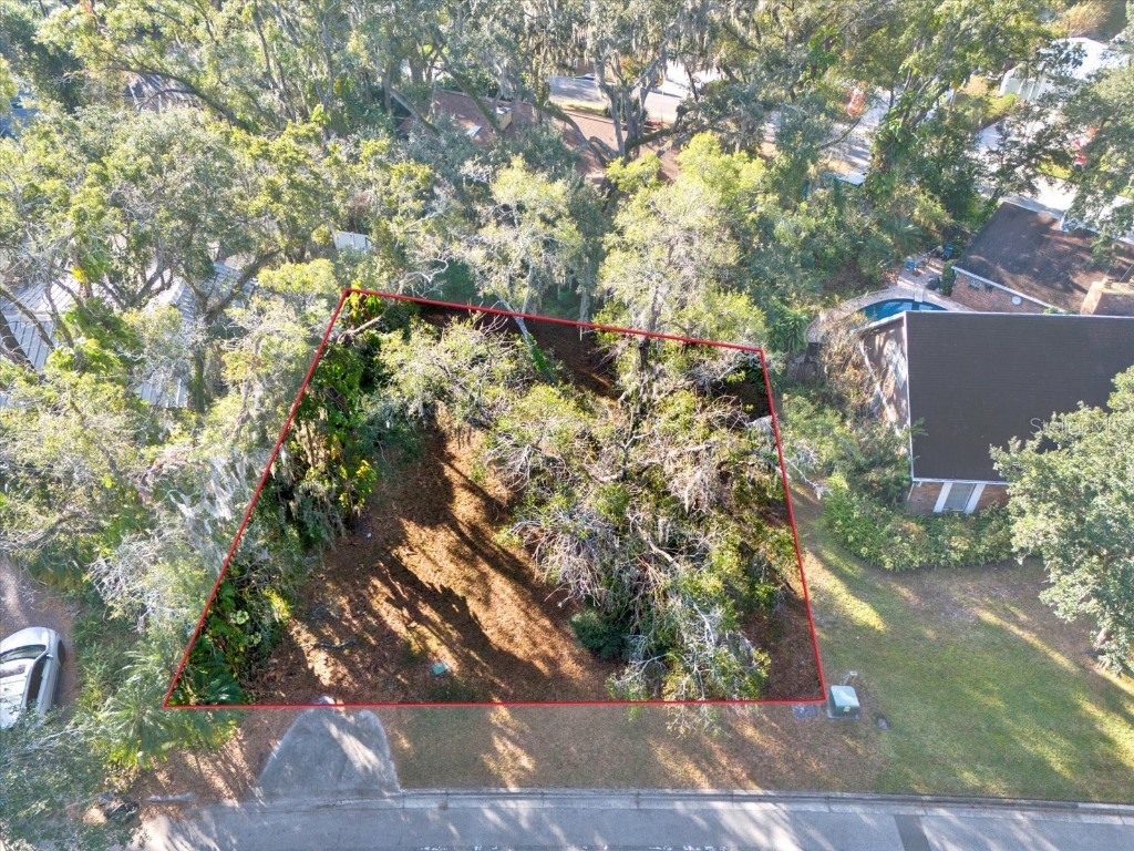 1113 N Riverhills Drive Temple Terrace FL 33617 A4675367 image5