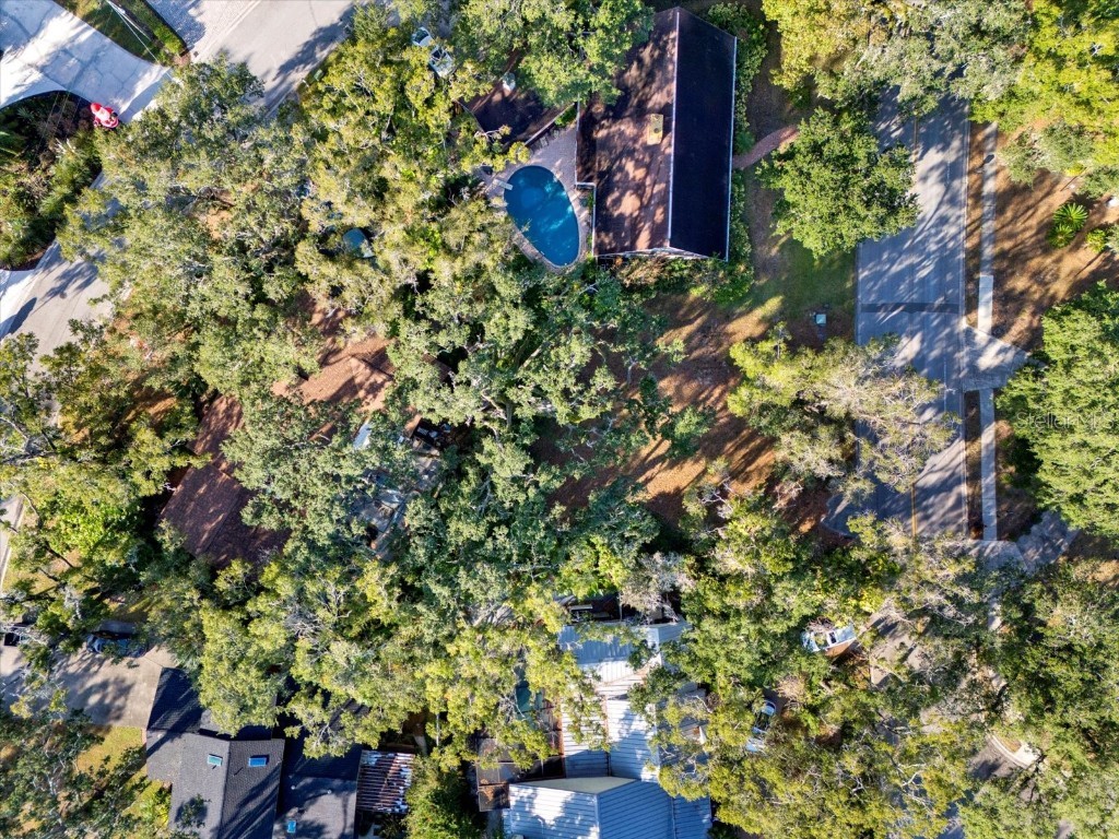 1113 N Riverhills Drive Temple Terrace FL 33617 A4675367 image9