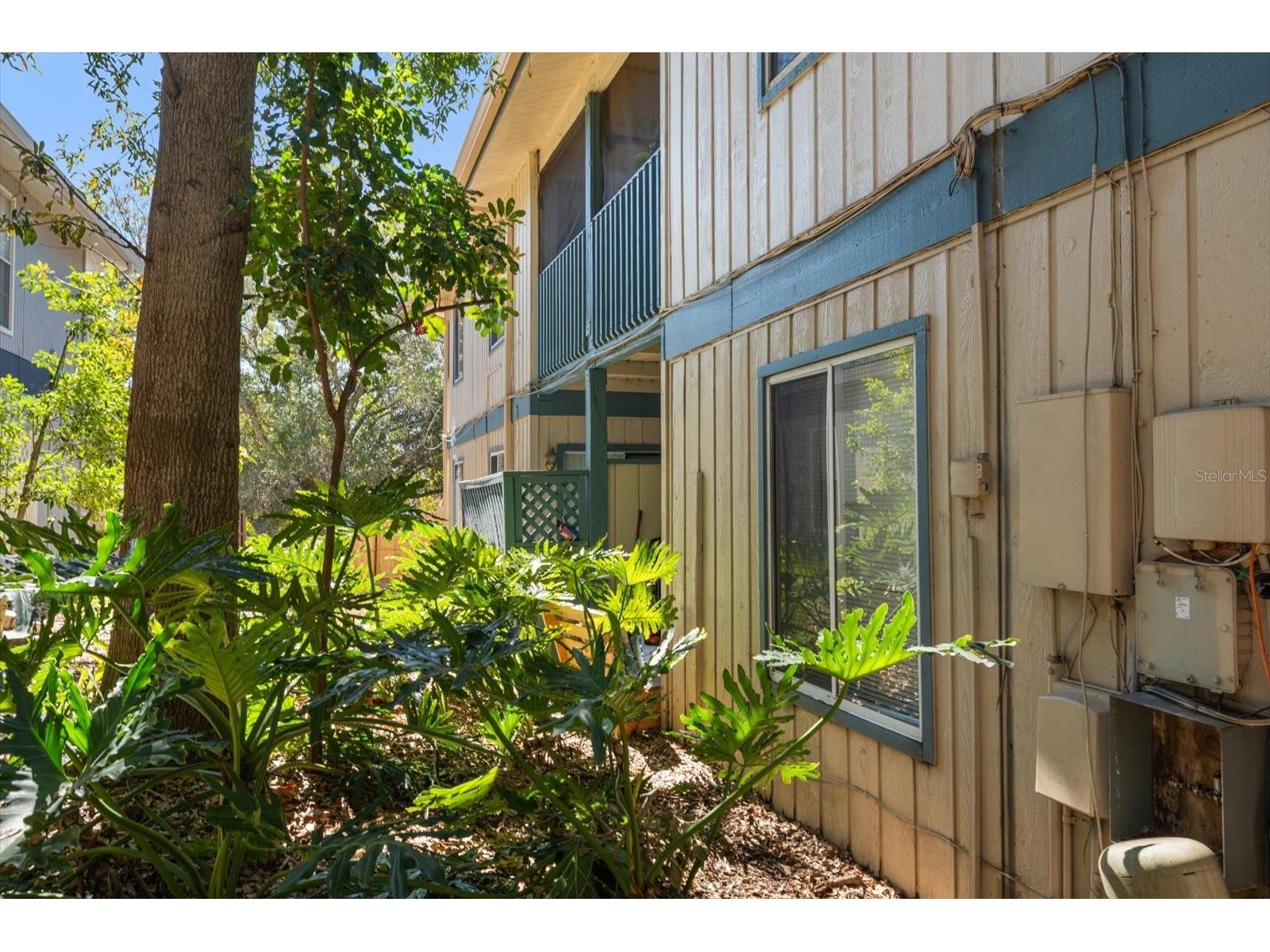 1113 Ohio Avenue Dunedin FL 34698 TB8484471 image28
