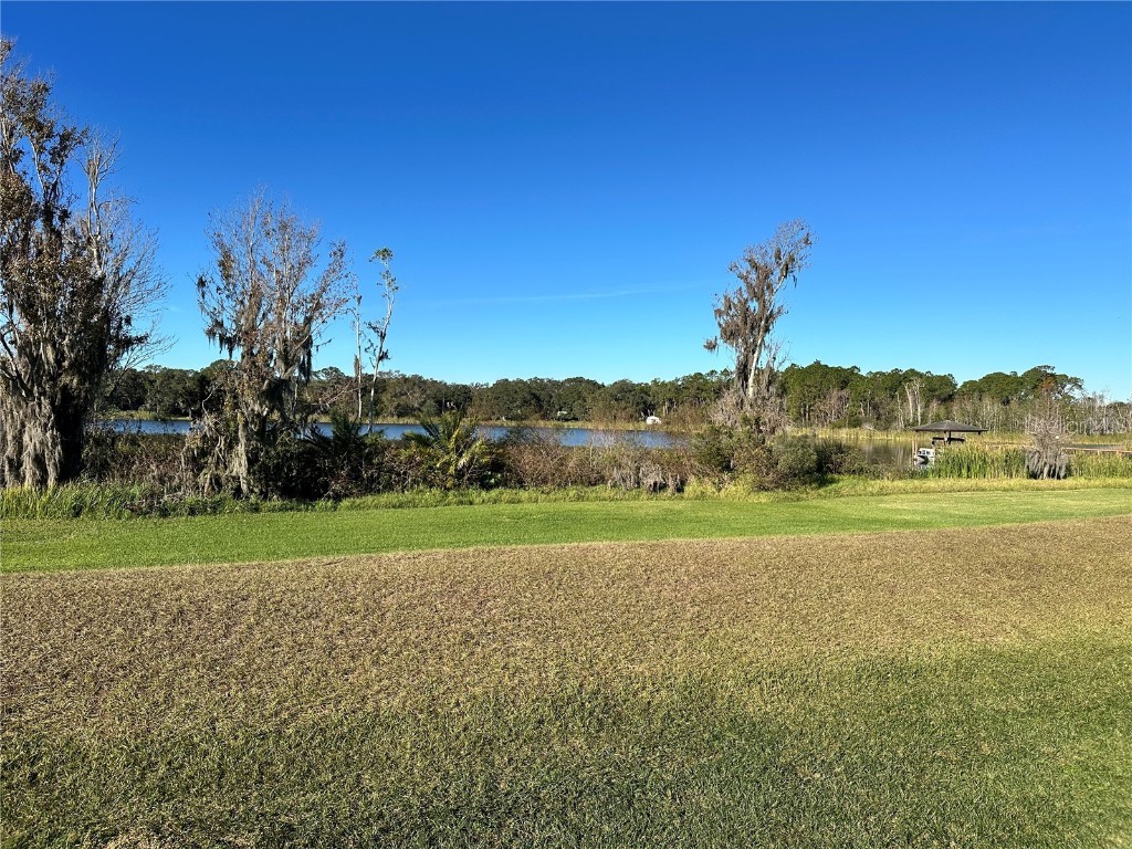 1113 Rally Drive Polk City FL 33868 L4949746 image1