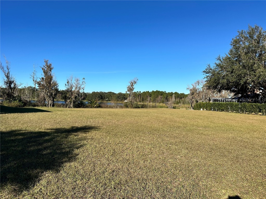 1113 Rally Drive Polk City FL 33868 L4949746 image4