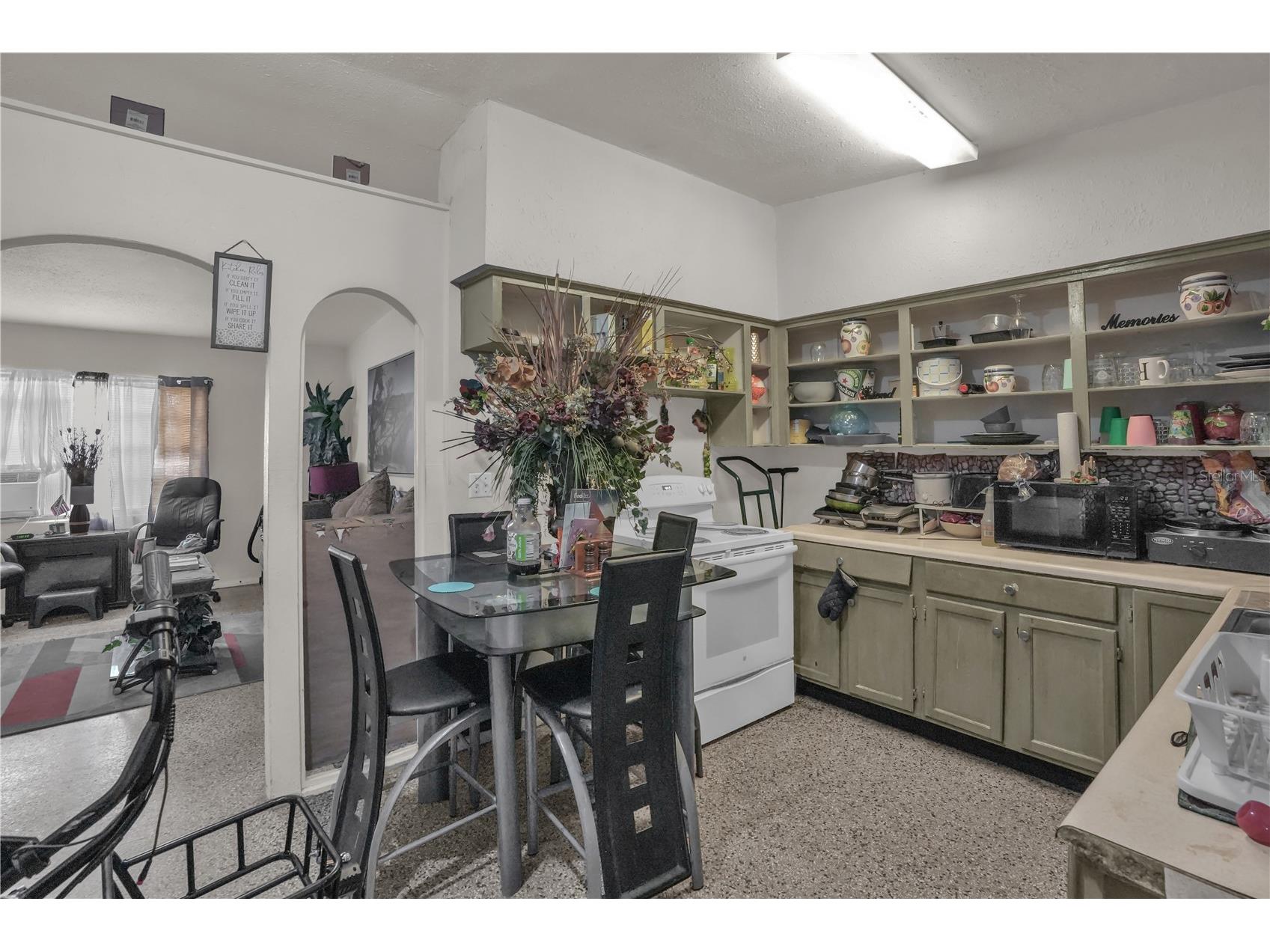 1113 S Lee Avenue Orlando FL 32805 O6417779 image19