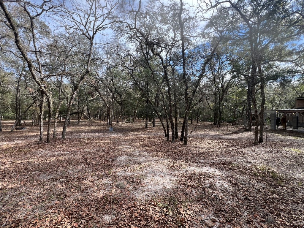 1113 SW Langelier Dr Fort White FL 32038 GC528337 image1