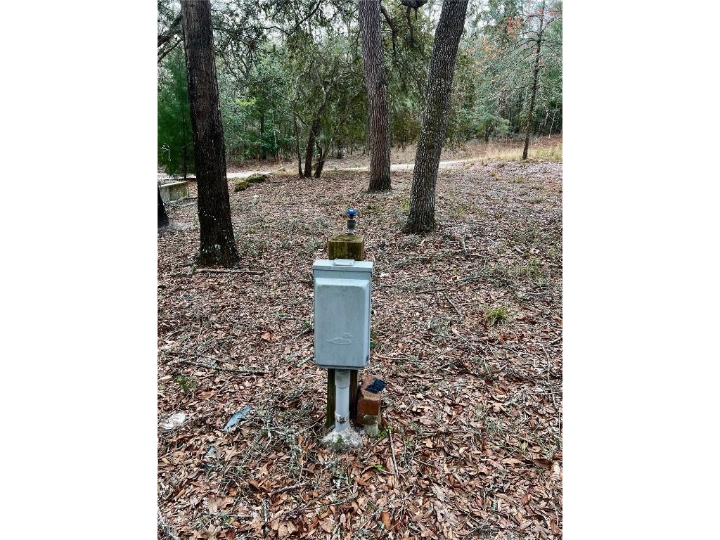 1113 SW Langelier Dr Fort White FL 32038 GC528337 image23