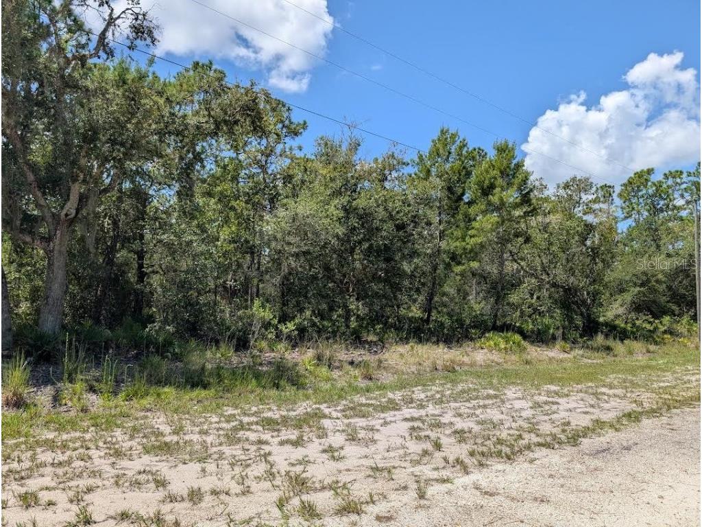 1113 Tropicana Drive Indian Lake Estates FL 33855 - LAKE WALK-IN-WATER TB8421421 image2