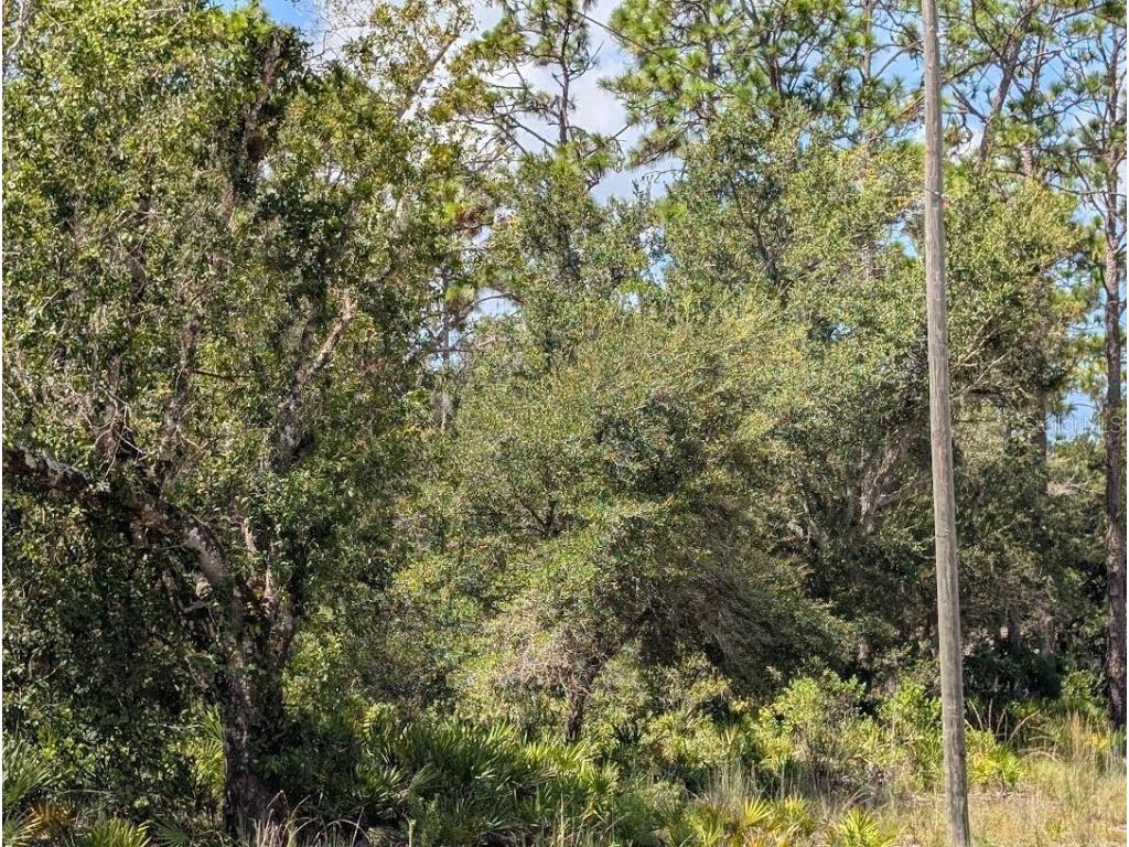 1113 Tropicana Drive Indian Lake Estates FL 33855 - LAKE WALK-IN-WATER TB8421421 image4