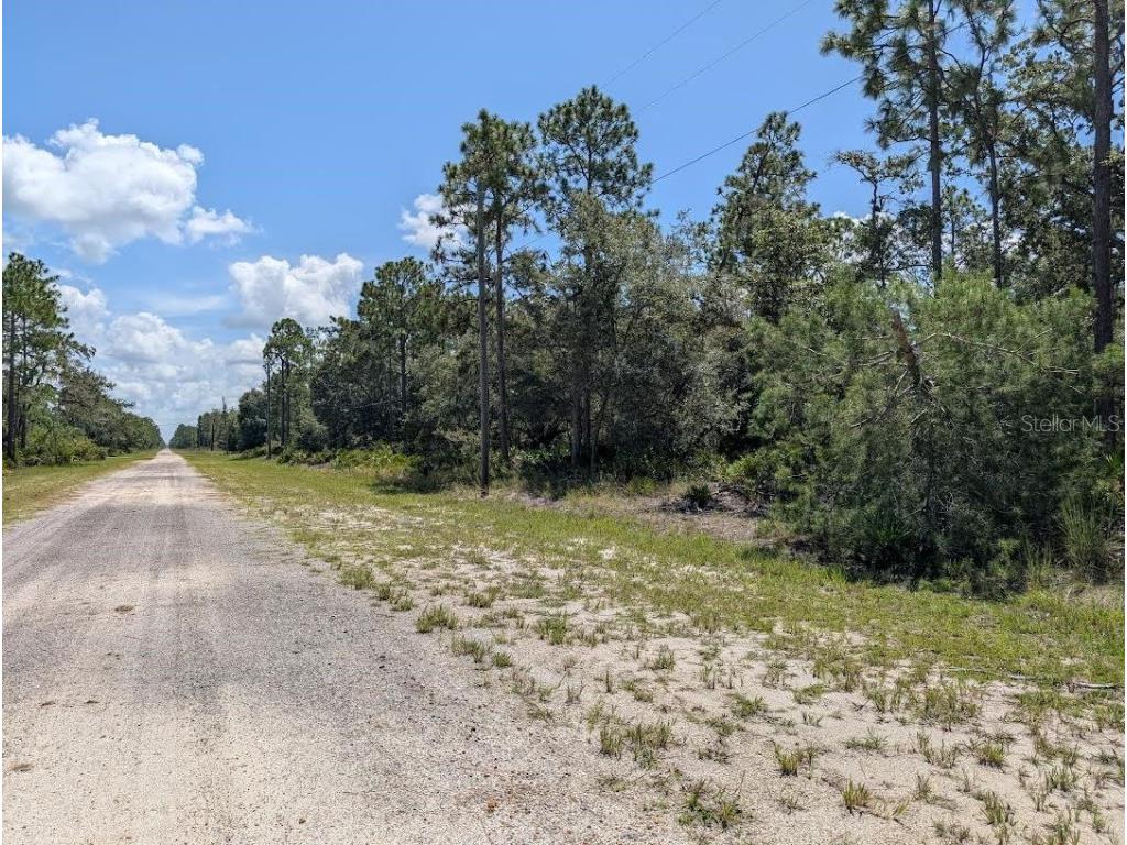 1113 Tropicana Drive Indian Lake Estates FL 33855 - LAKE WALK-IN-WATER TB8421421 image6