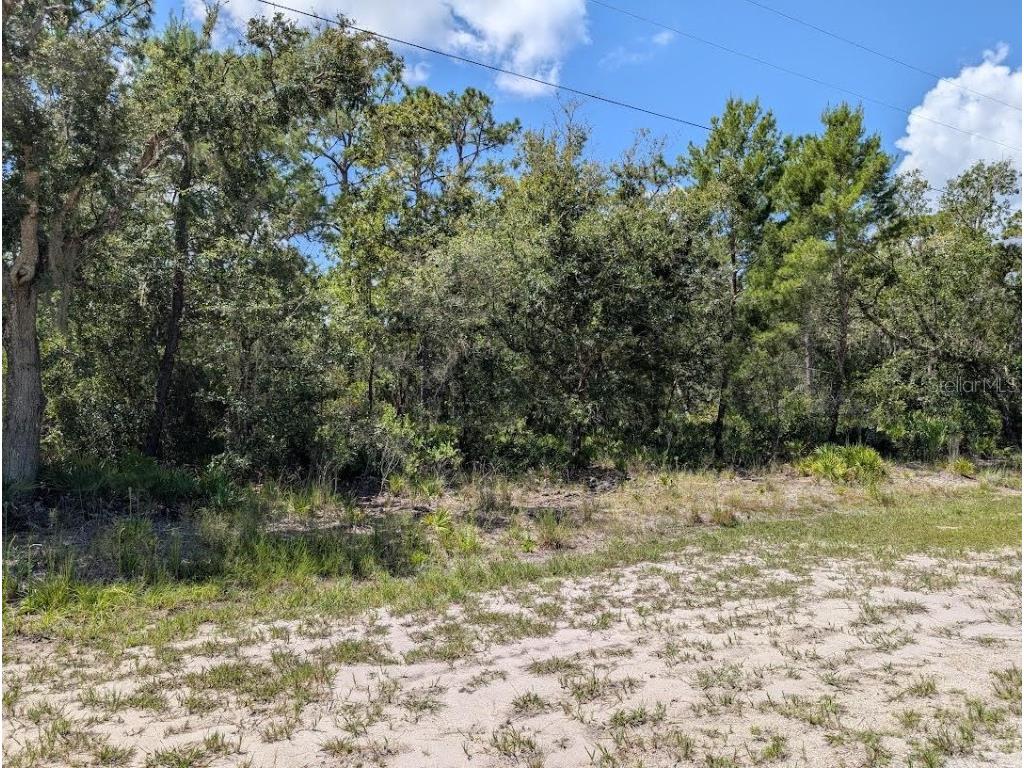 1113 Tropicana Drive Indian Lake Estates FL 33855 - LAKE WALK-IN-WATER TB8421421 image7