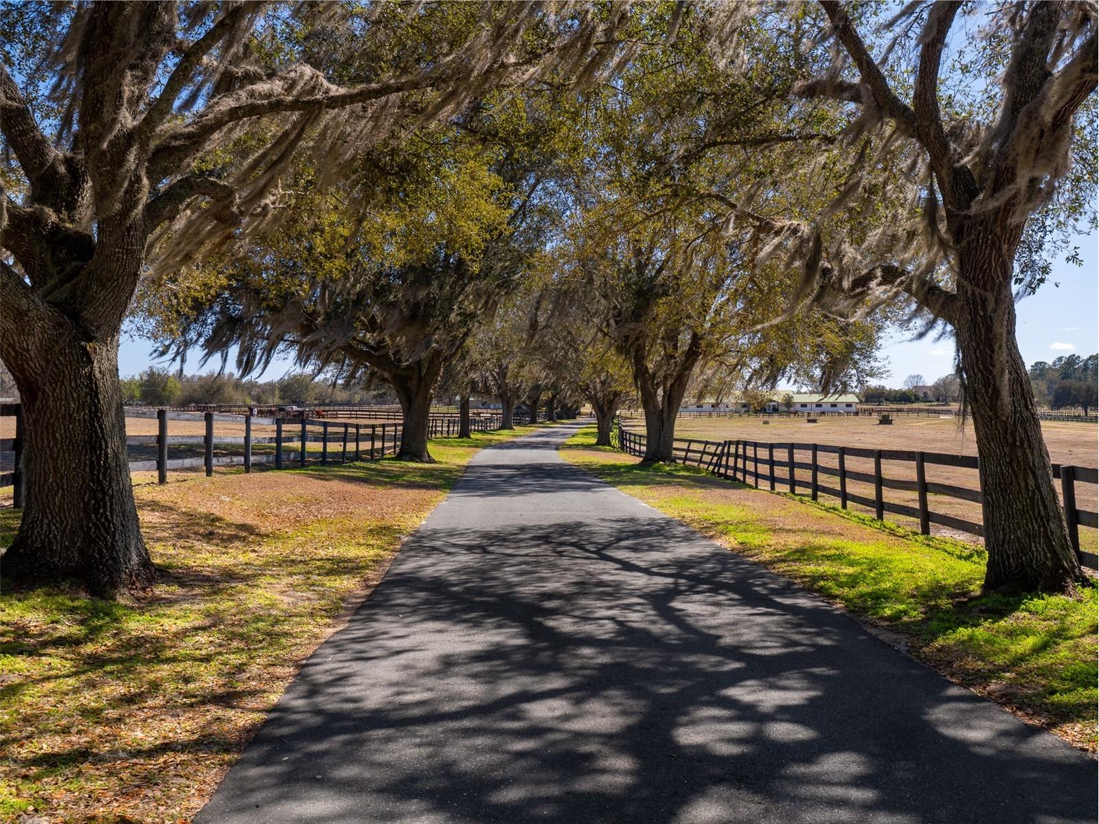 11130/11122 W Highway 326 Ocala FL 34482 OM719183 image18