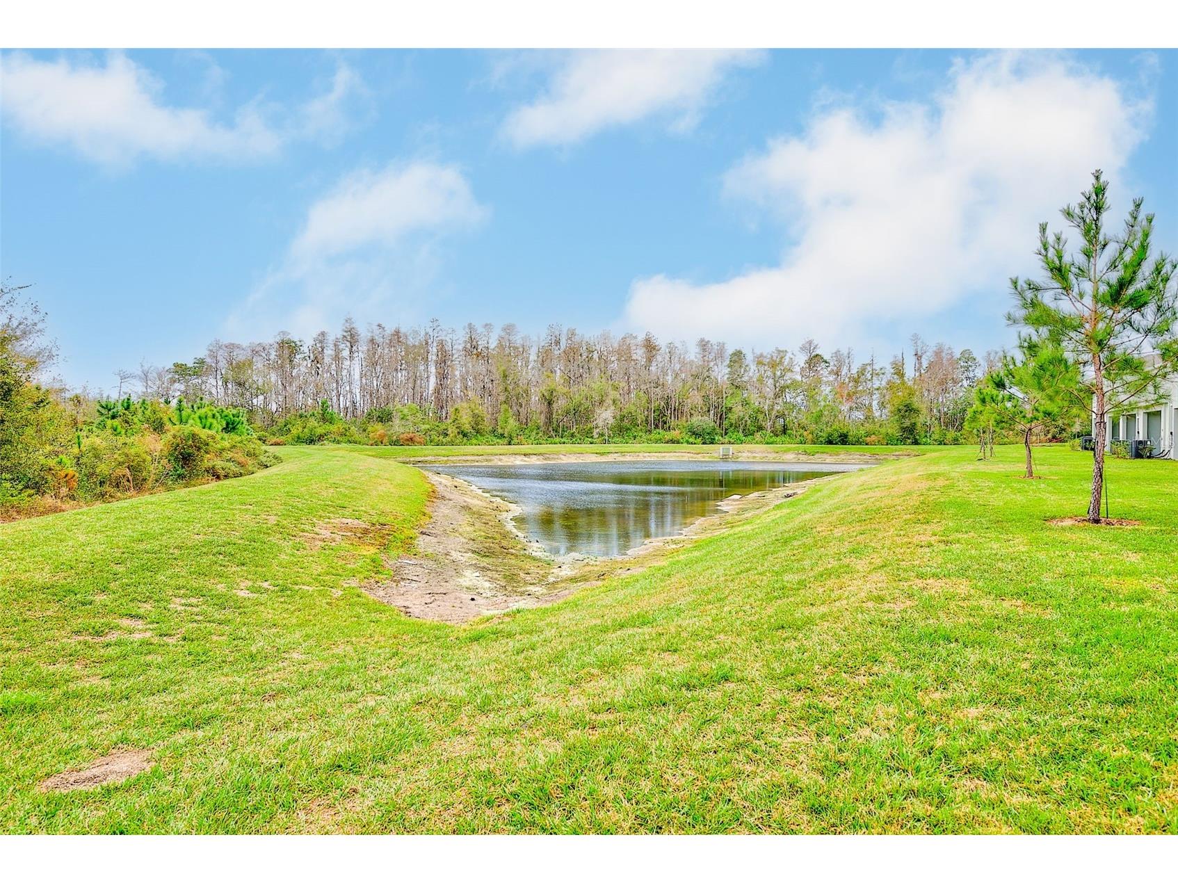 11130 Crescent Deer Drive Land O Lakes FL 34638 TB8471762 image33