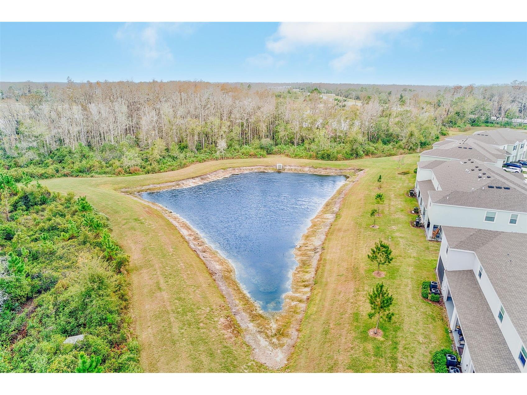 11130 Crescent Deer Drive Land O Lakes FL 34638 TB8471762 image36