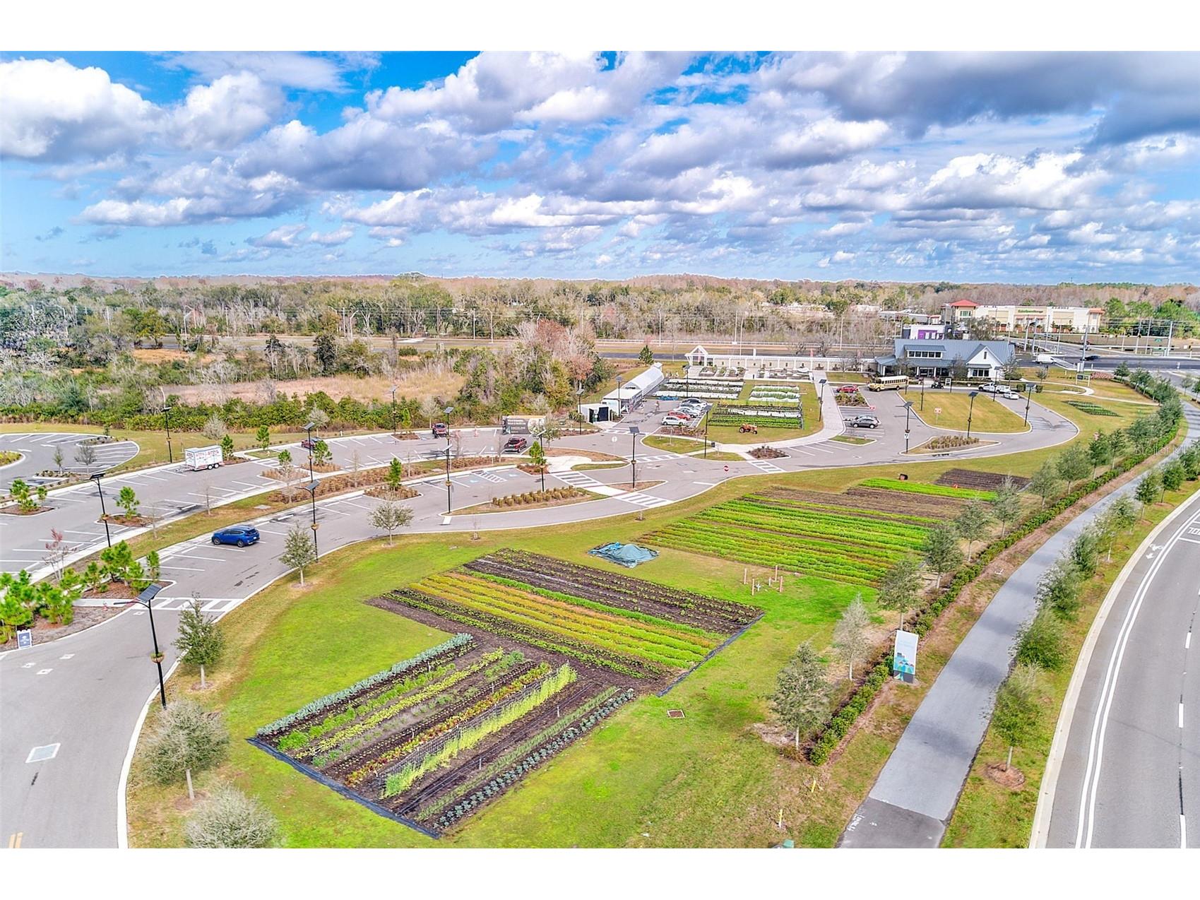 11130 Crescent Deer Drive Land O Lakes FL 34638 TB8471762 image37