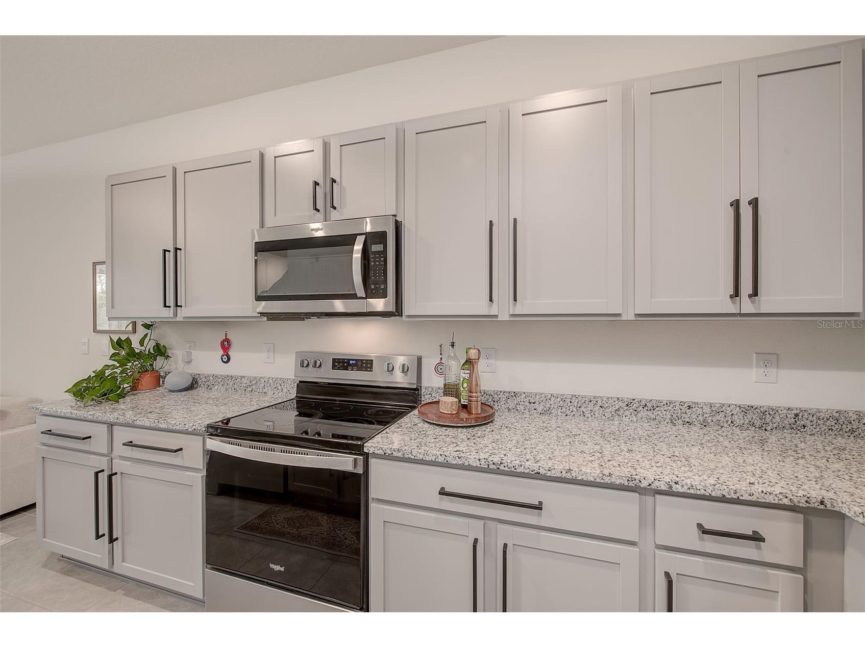 11130 Crescent Deer Drive Land O Lakes FL 34638 TB8471762 image7