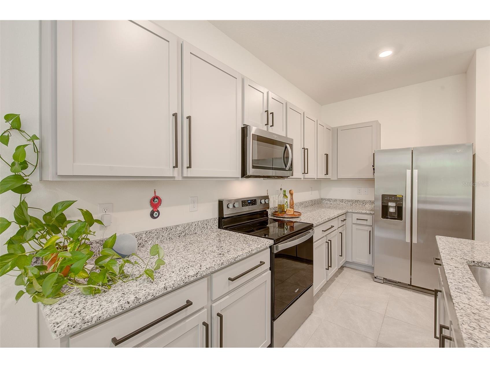 11130 Crescent Deer Drive Land O Lakes FL 34638 TB8471762 image9