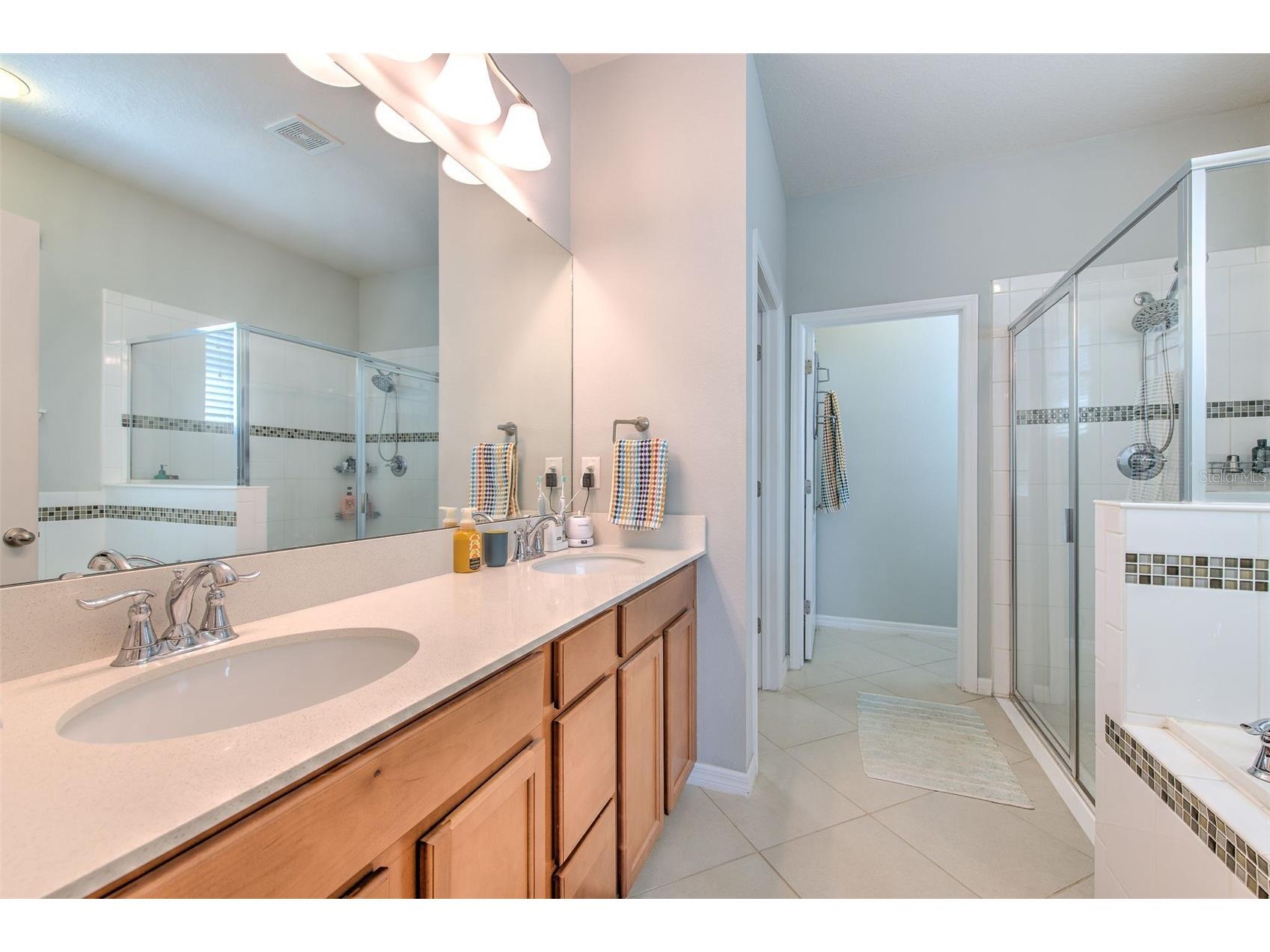 11130 Spring Point Circle Riverview FL 33579 TB8493335 image23