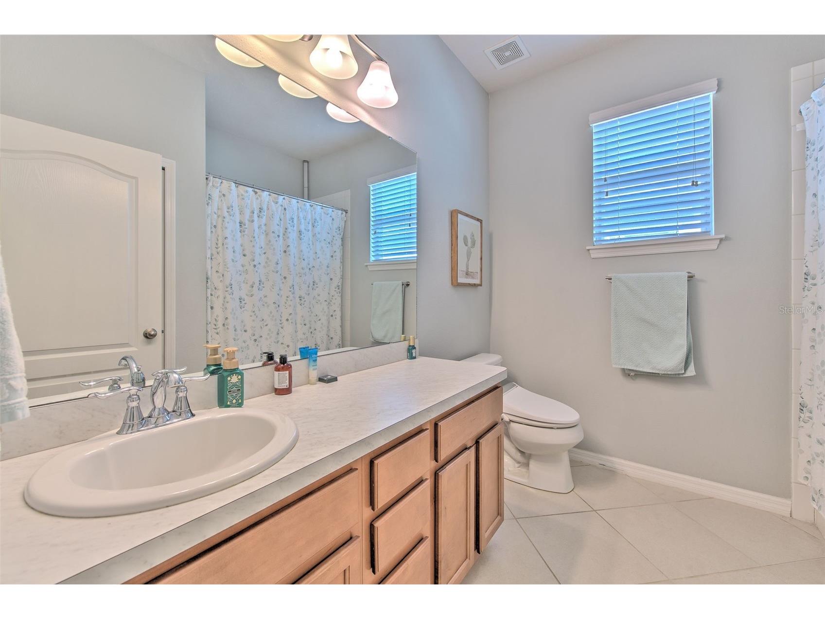 11130 Spring Point Circle Riverview FL 33579 TB8493335 image30