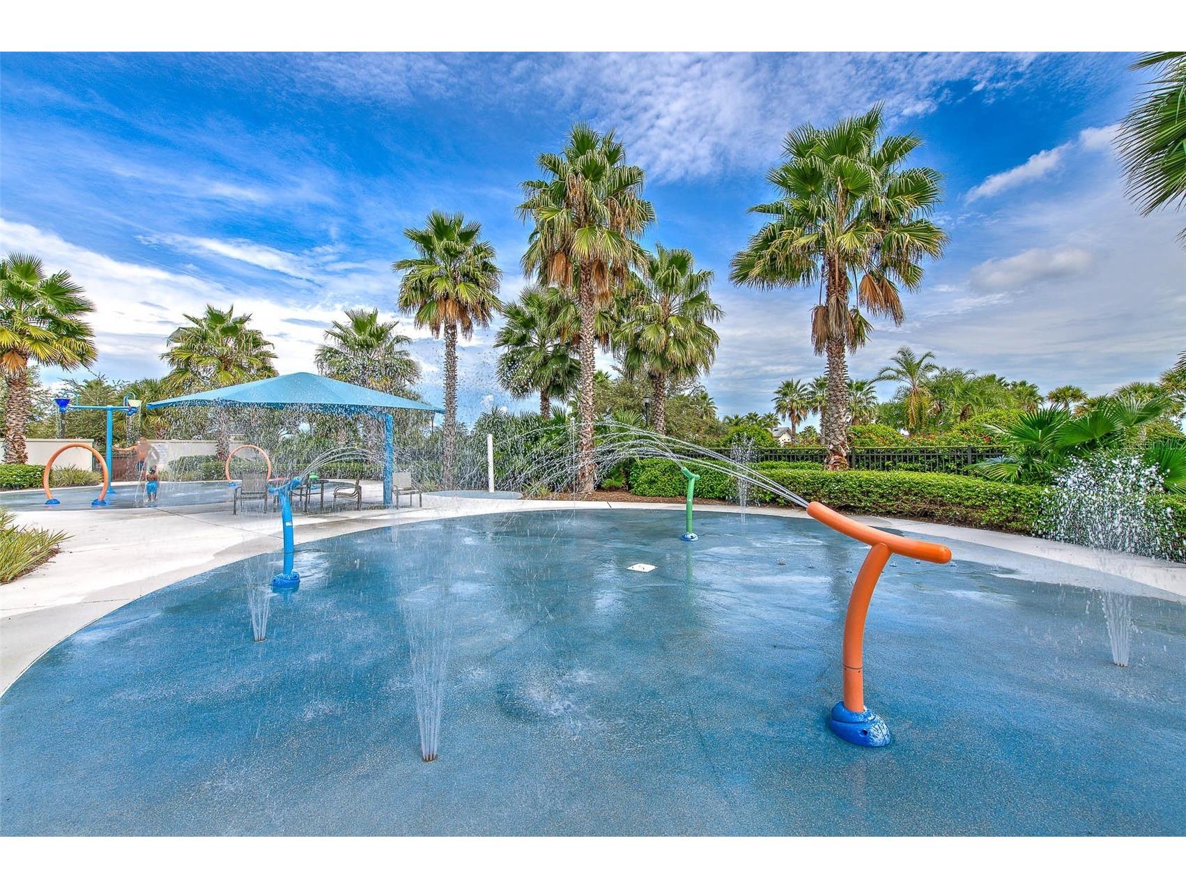 11130 Spring Point Circle Riverview FL 33579 TB8493335 image53