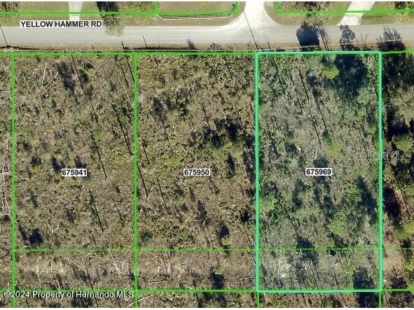 11130 Yellow Hammer Road Weeki Wachee FL 34614 W7877869 image1
