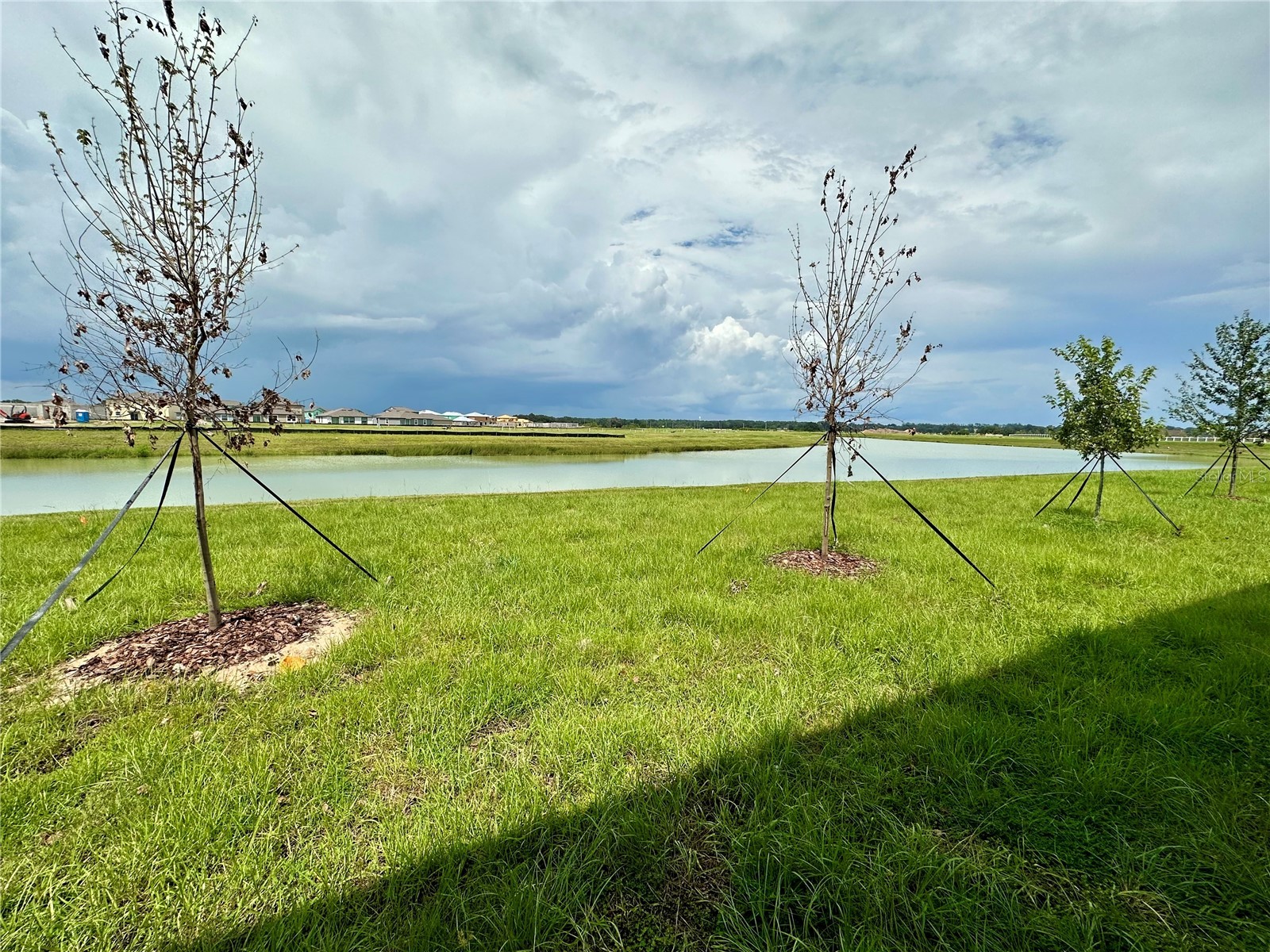 11131 Radiant Shore Loop San Antonio FL 33576 TB8514331 image26