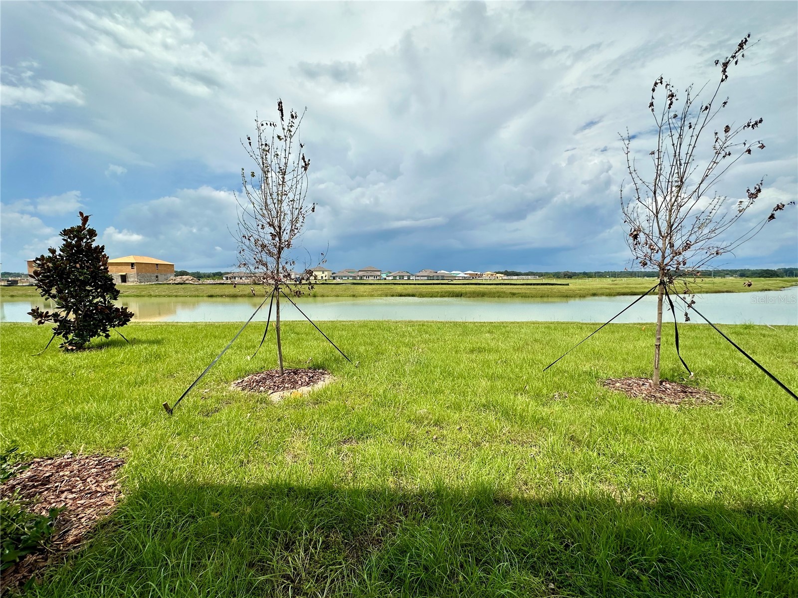 11131 Radiant Shore Loop San Antonio FL 33576 TB8514331 image27
