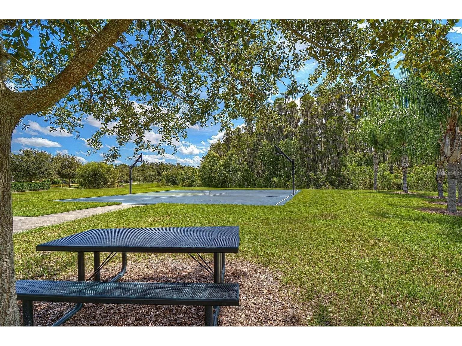11131 Sundrift Drive Tampa FL 33647 TB8502487 image100