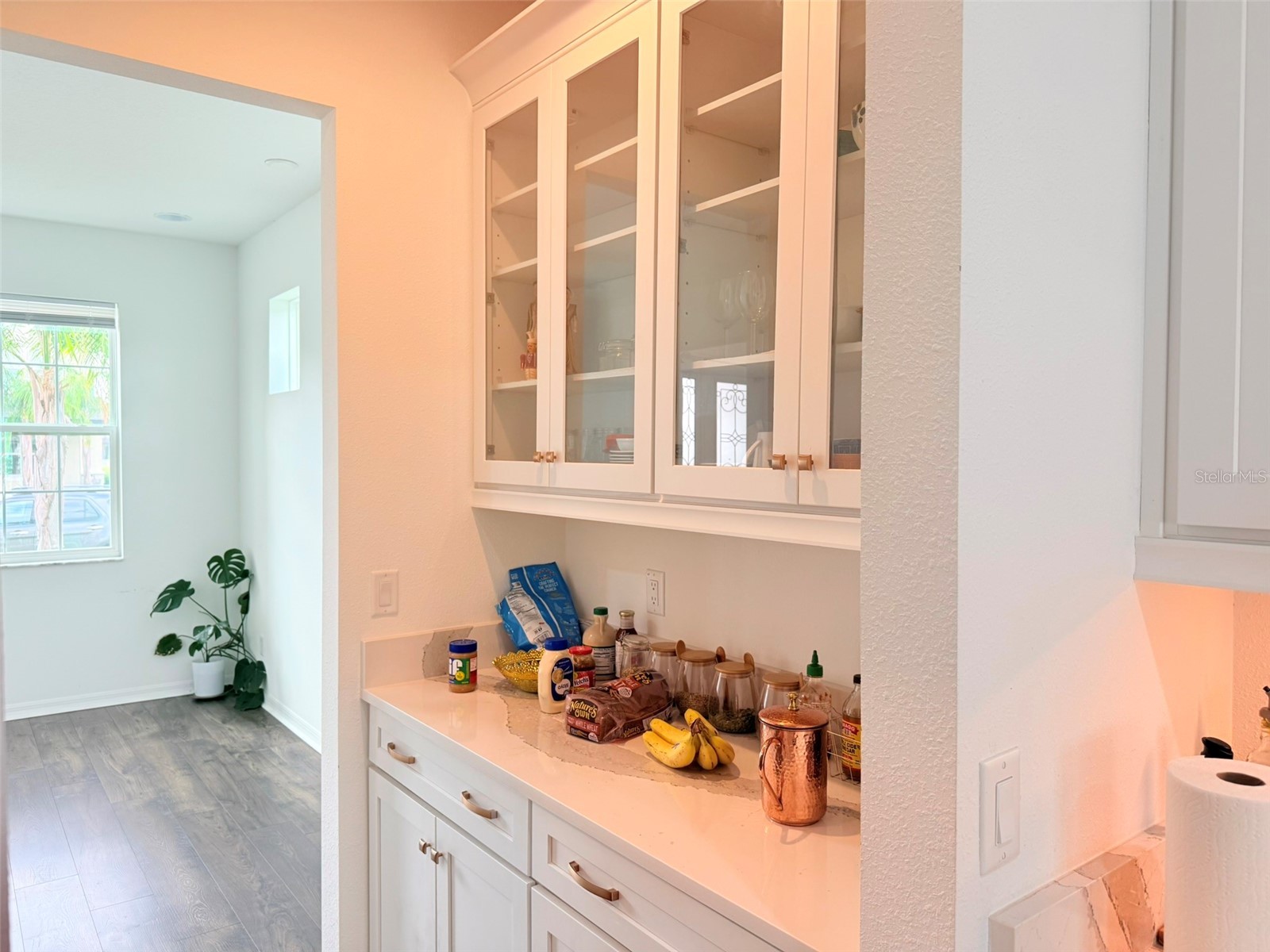 11131 Sundrift Drive Tampa FL 33647 TB8502487 image16