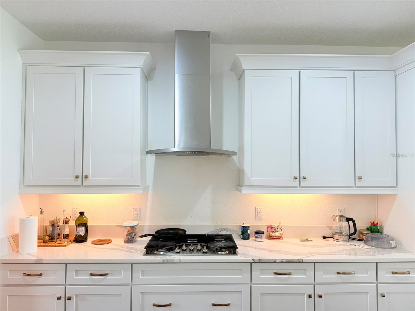 11131 Sundrift Drive Tampa FL 33647 TB8502487 image22