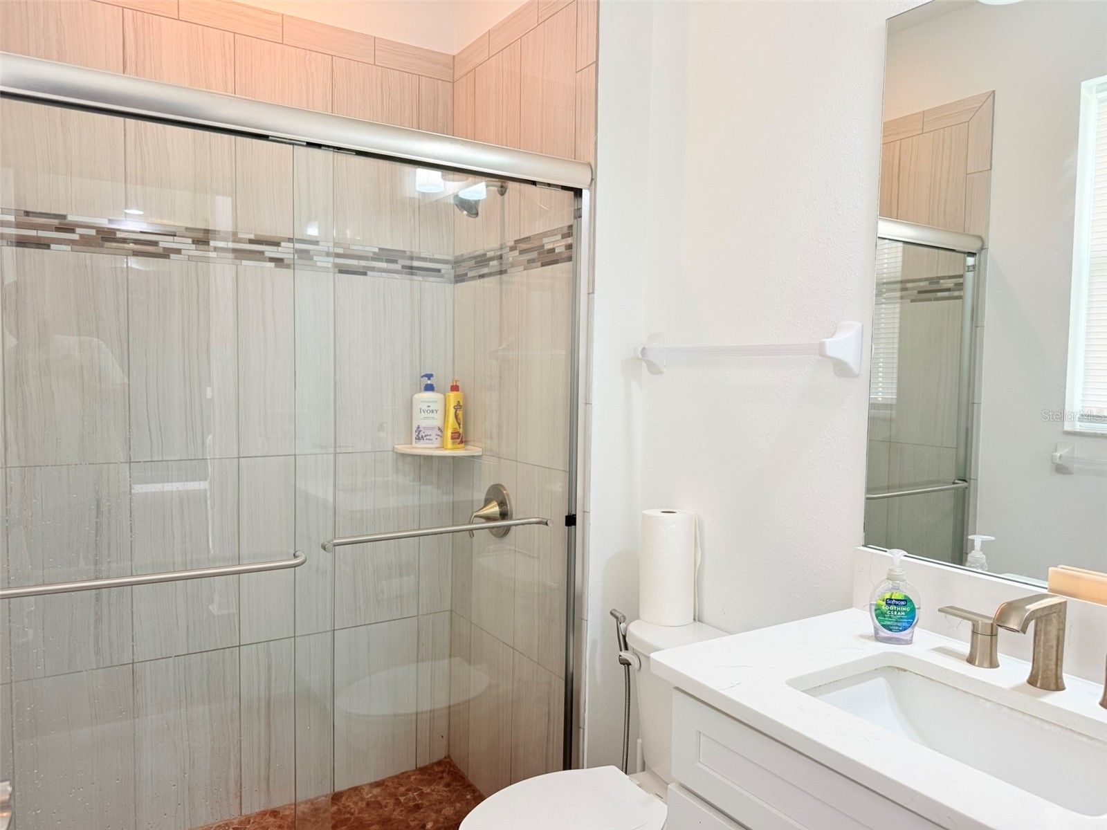 11131 Sundrift Drive Tampa FL 33647 TB8502487 image44