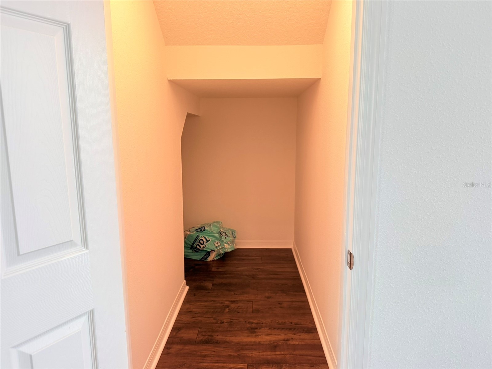 11131 Sundrift Drive Tampa FL 33647 TB8502487 image53