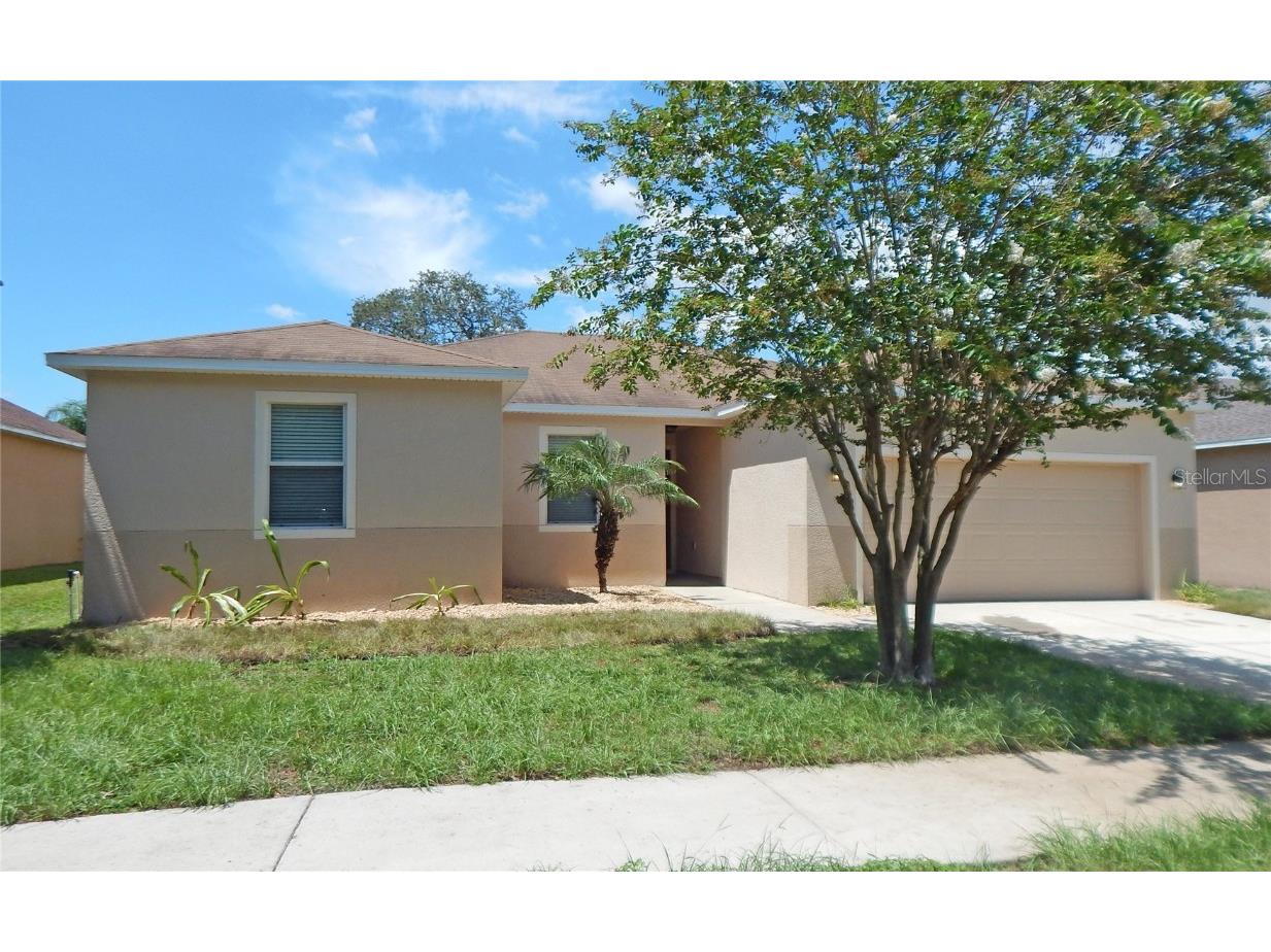11132 Hartford Fern Drive Riverview FL 33569 T3460373 image1