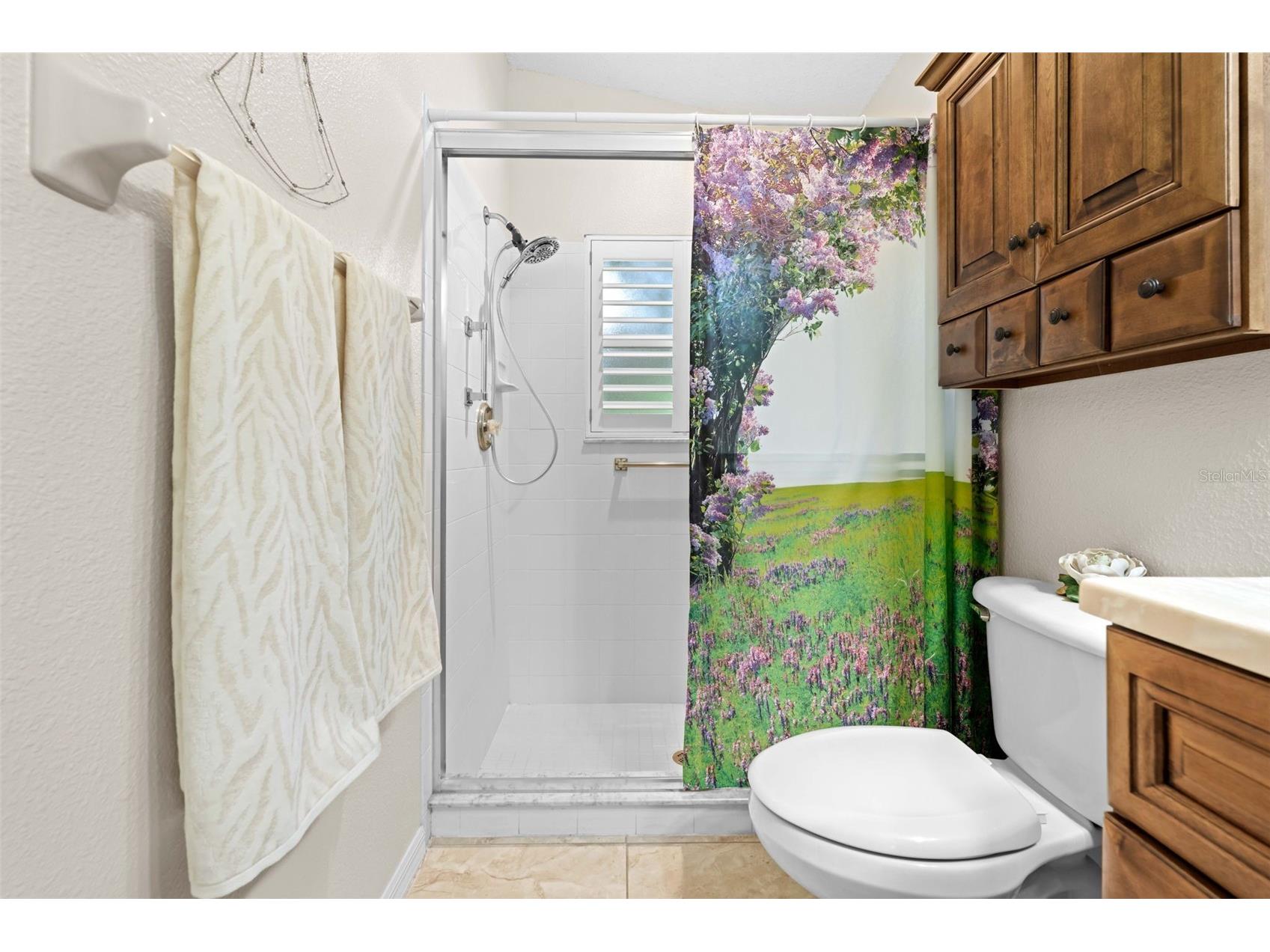 11132 Heathrow Avenue Spring Hill FL 34609 TB8517158 image16