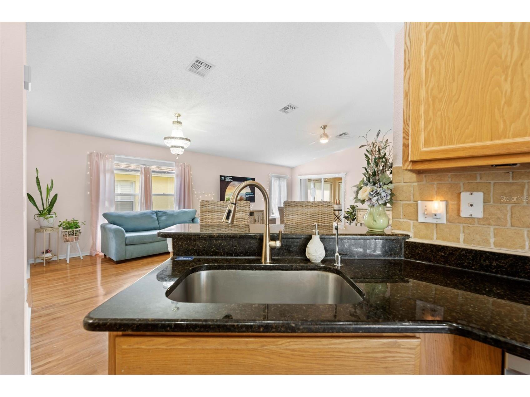 11132 Heathrow Avenue Spring Hill FL 34609 TB8517158 image33
