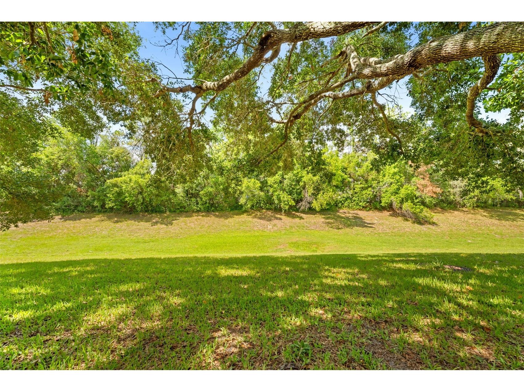 11132 Heathrow Avenue Spring Hill FL 34609 TB8517158 image9