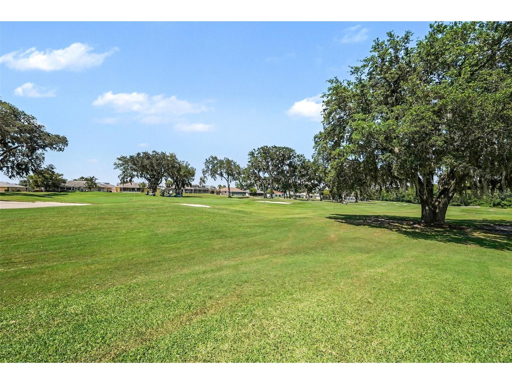 11132 Moshie Lane San Antonio FL 33576 TB8509226 image26