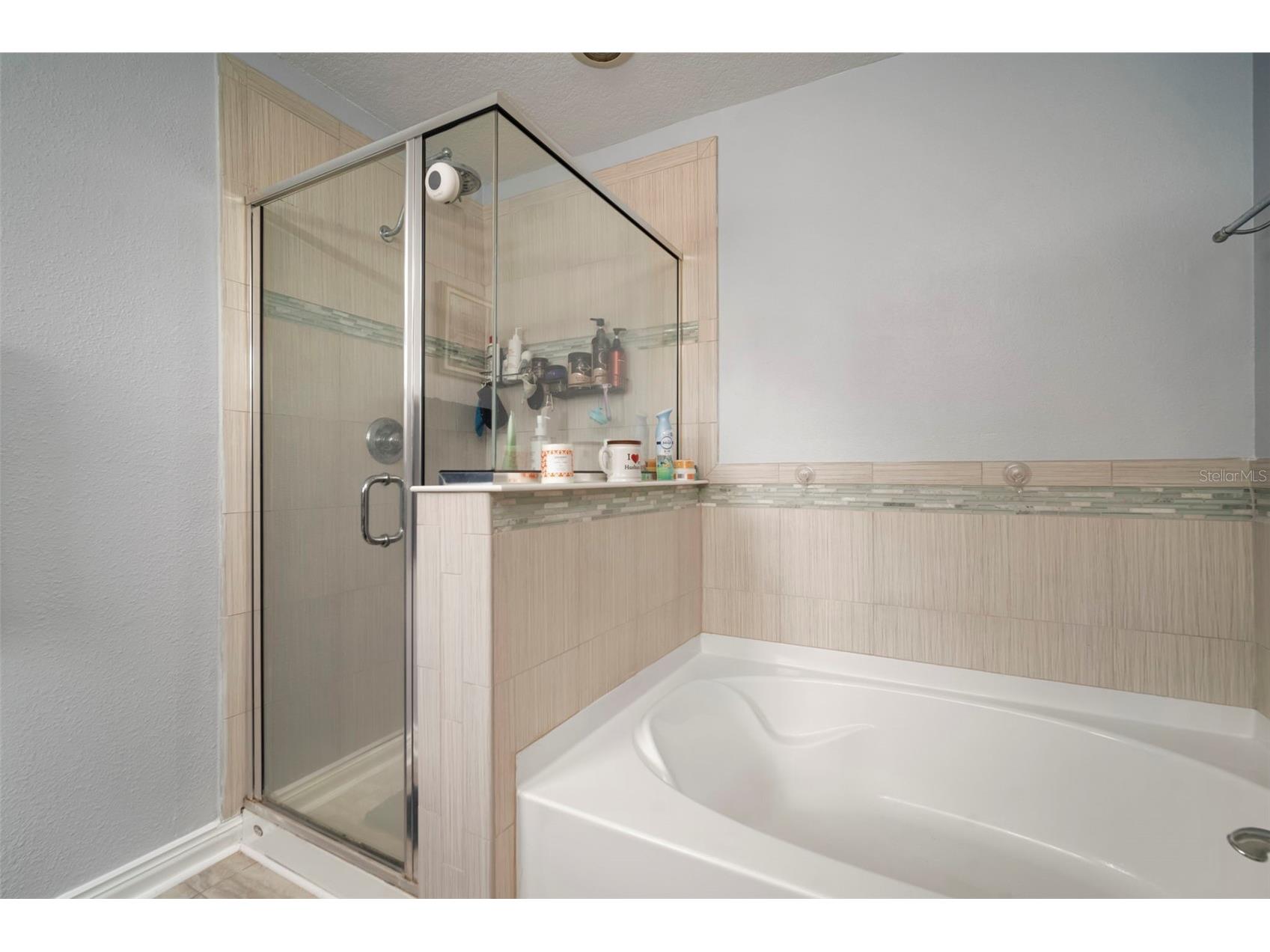 11132 Running Pine Drive Riverview FL 33569 TB8405619 image39