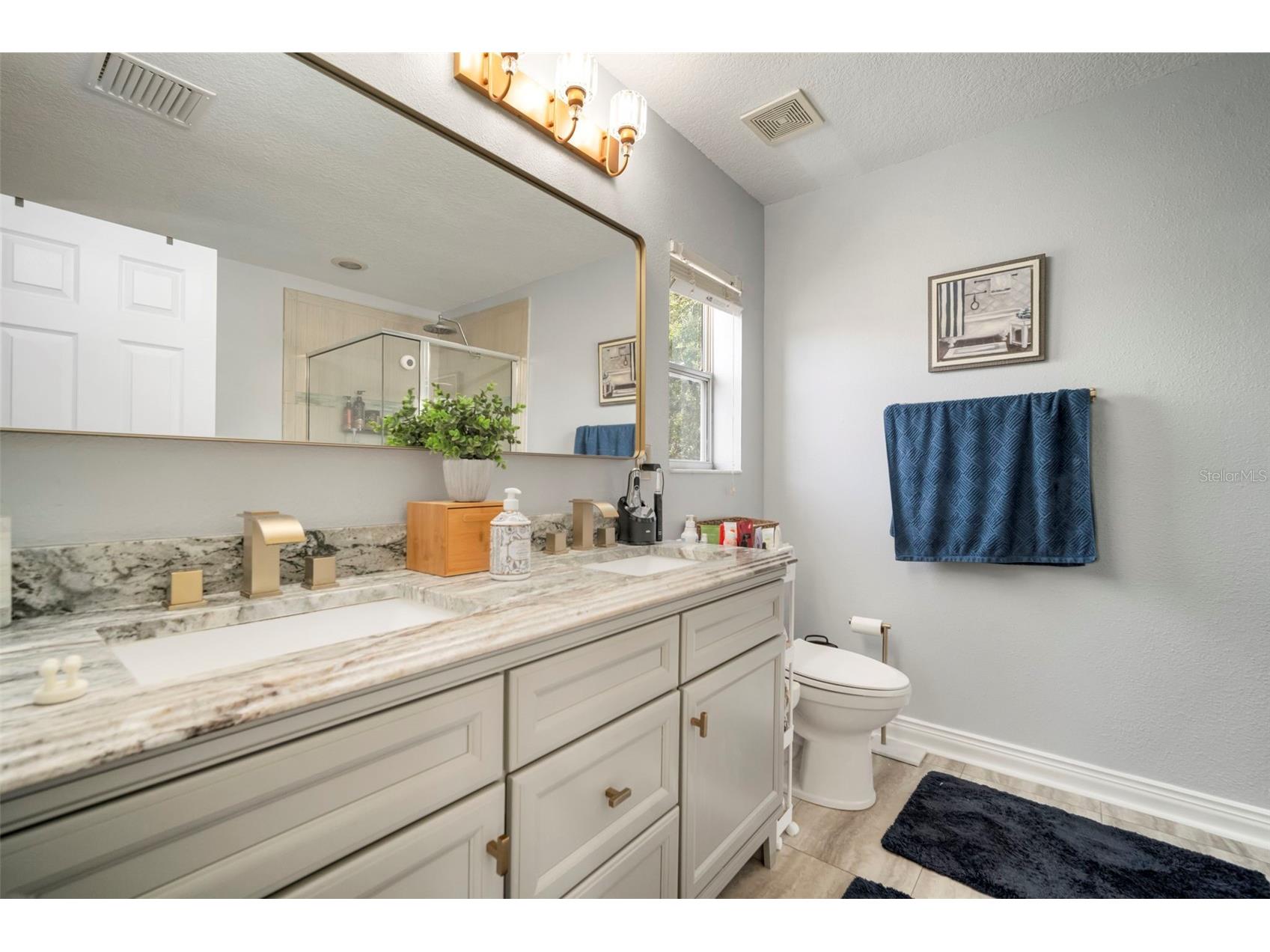 11132 Running Pine Drive Riverview FL 33569 TB8405619 image40