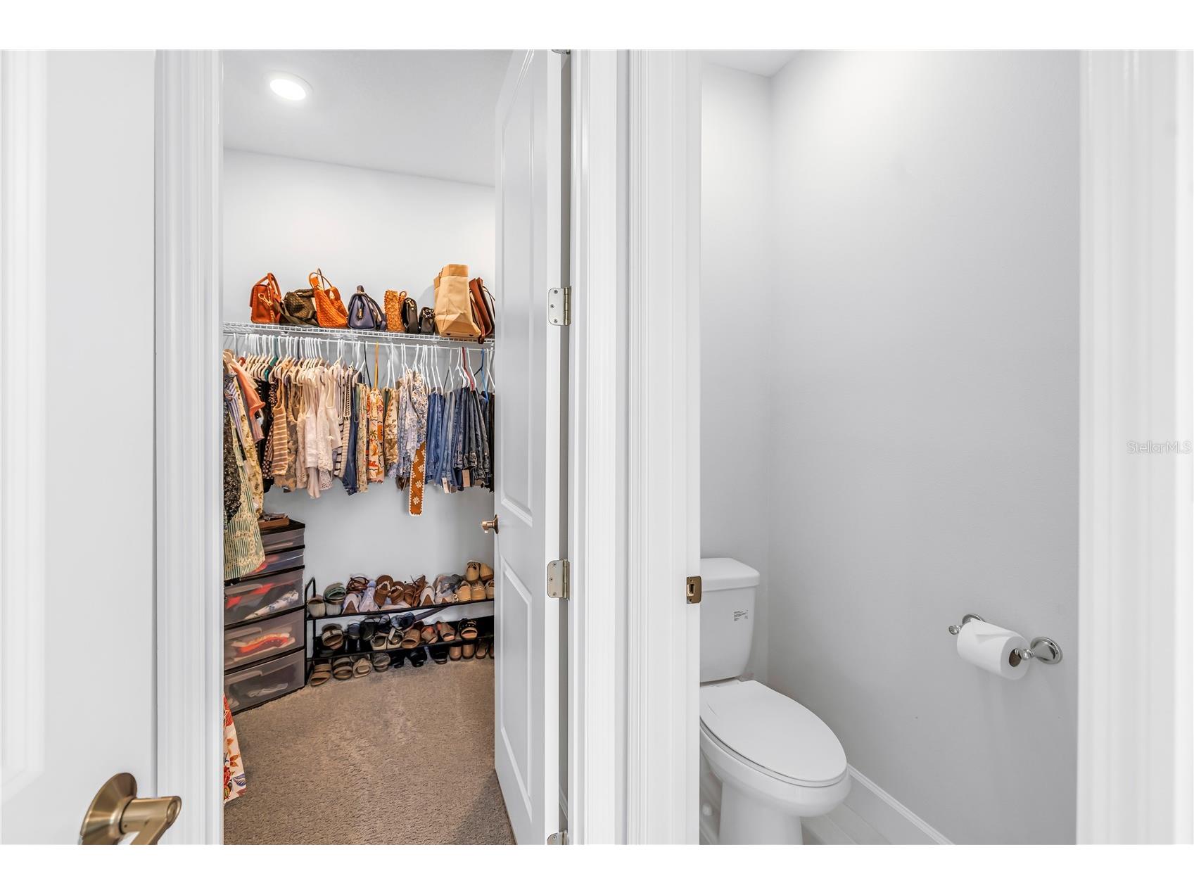 11133 Fieldstone Drive Palmetto FL 34221 TB8522281 image54