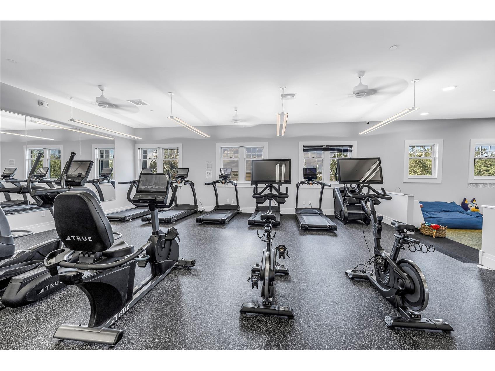11133 Fieldstone Drive Palmetto FL 34221 TB8522281 image69