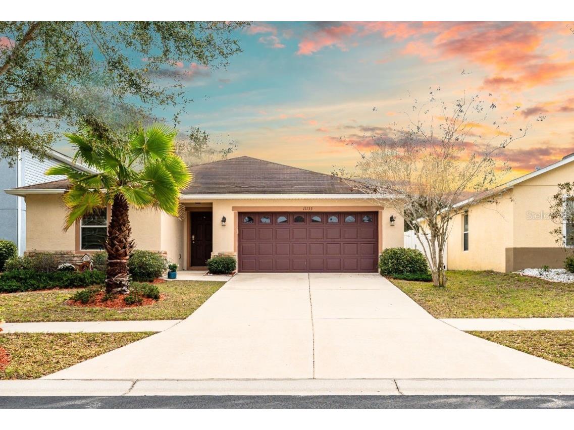 11133 Goldenrod Fern Drive Riverview FL 33569 T3508685 image1