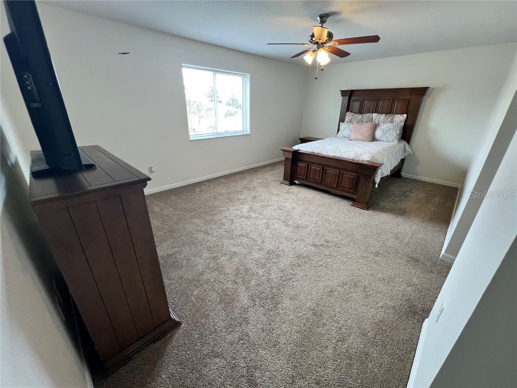 11133 Sailbrooke Drive Riverview FL 33579 TB8421861 image20