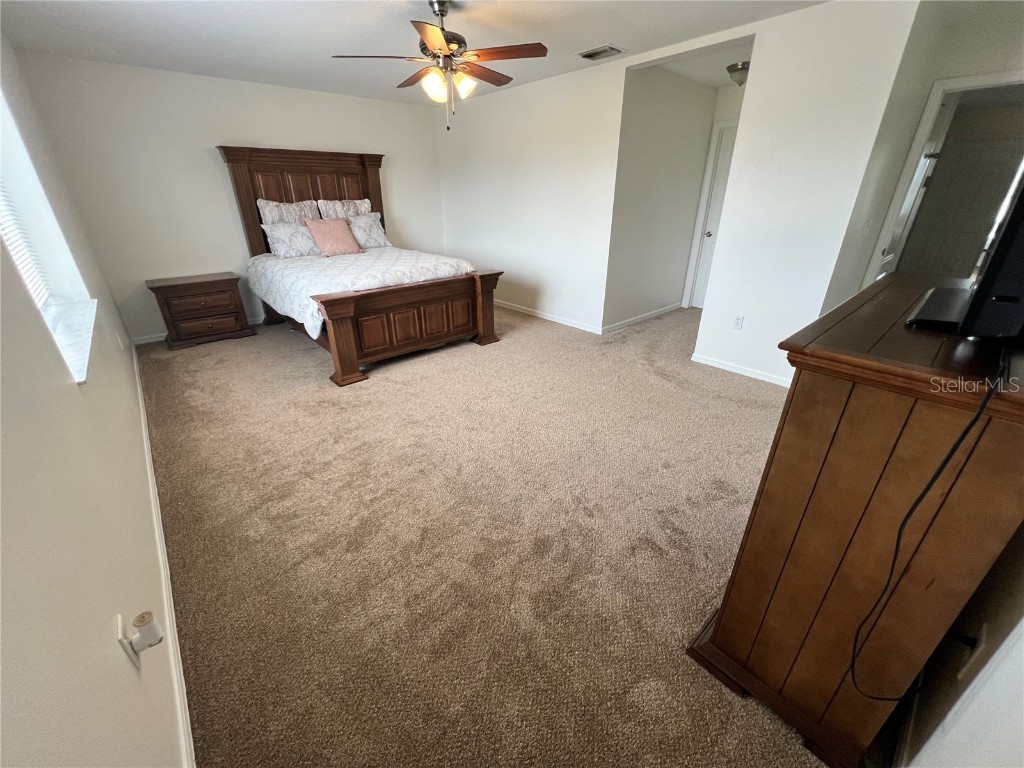 11133 Sailbrooke Drive Riverview FL 33579 TB8421861 image21