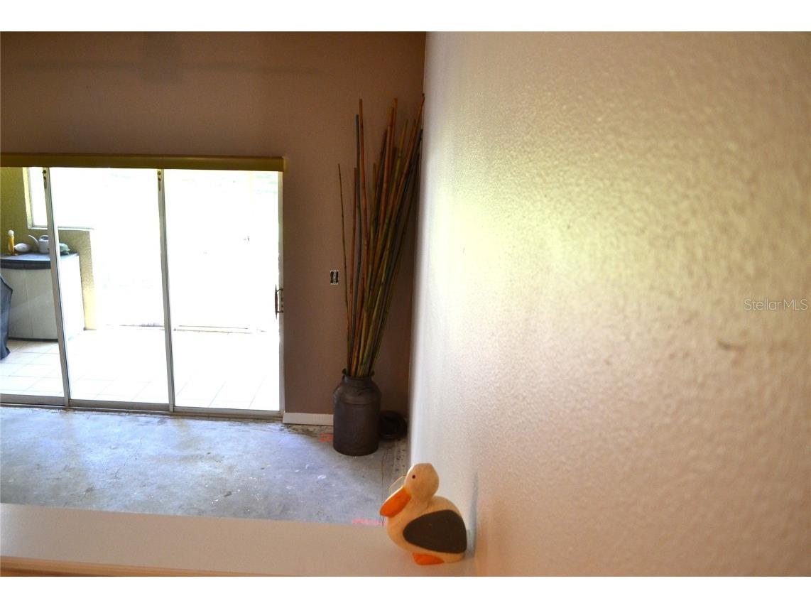 11135 Kapok Grand Circle Madeira Beach FL 33708 TB8439392 image19