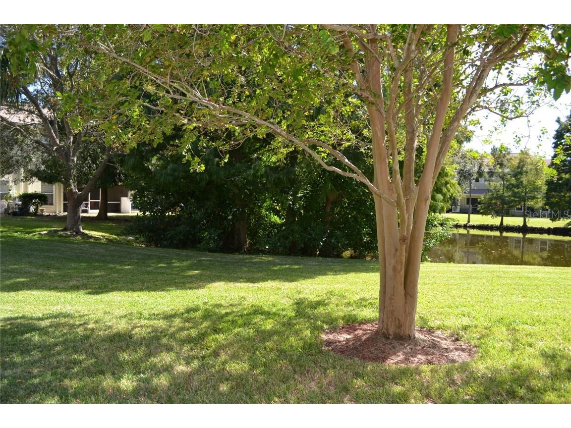 11135 Kapok Grand Circle Madeira Beach FL 33708 TB8439392 image24