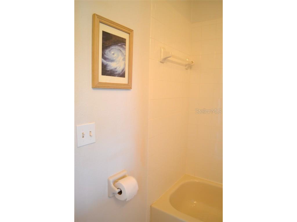 11135 Kapok Grand Circle Madeira Beach FL 33708 TB8439392 image32