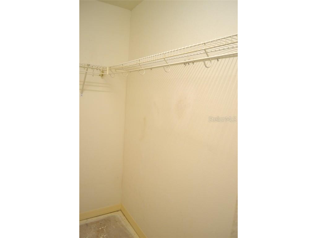 11135 Kapok Grand Circle Madeira Beach FL 33708 TB8439392 image43