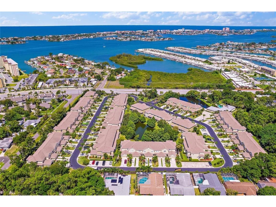 11135 Kapok Grand Circle Madeira Beach FL 33708 TB8439392 image46