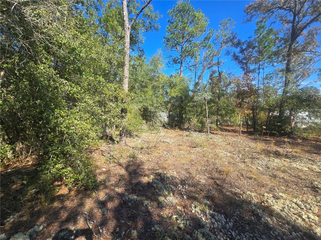 11136 N Vesta Point Dunnellon FL 34434 OM714280 image10