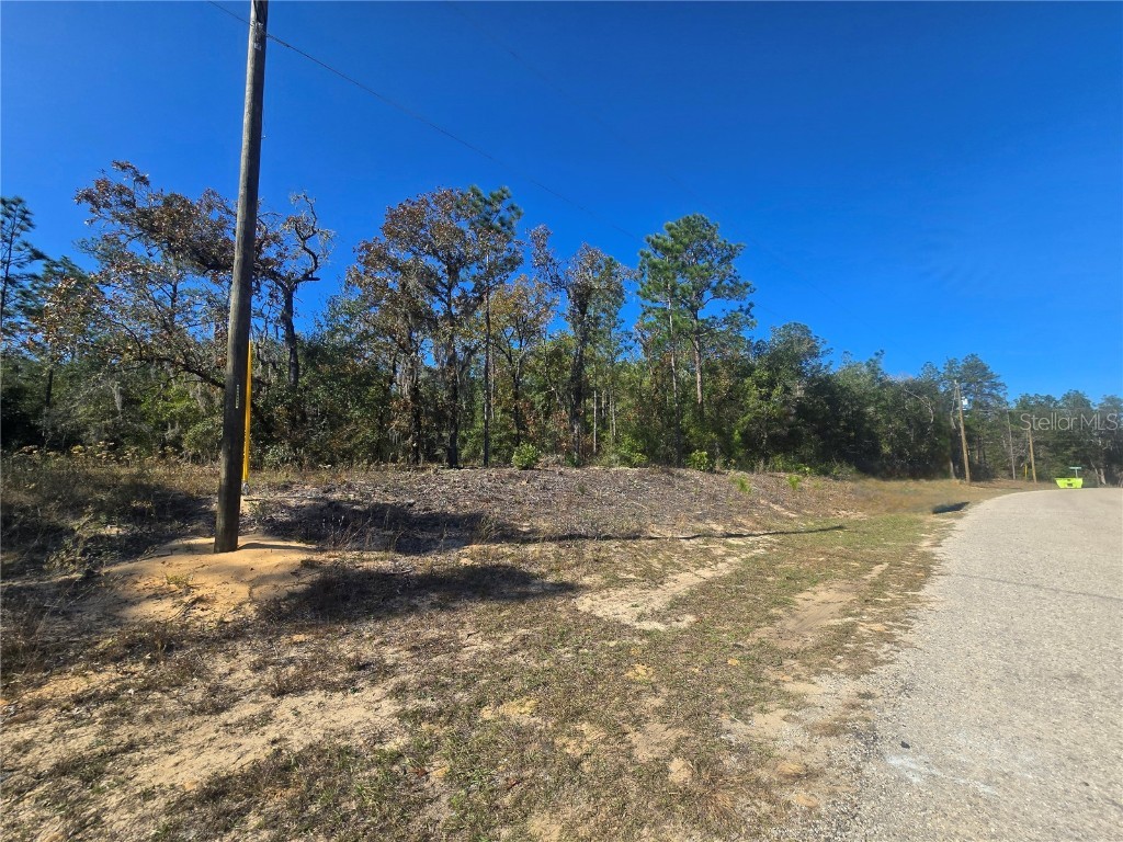 11136 N Vesta Point Dunnellon FL 34434 OM714280 image2