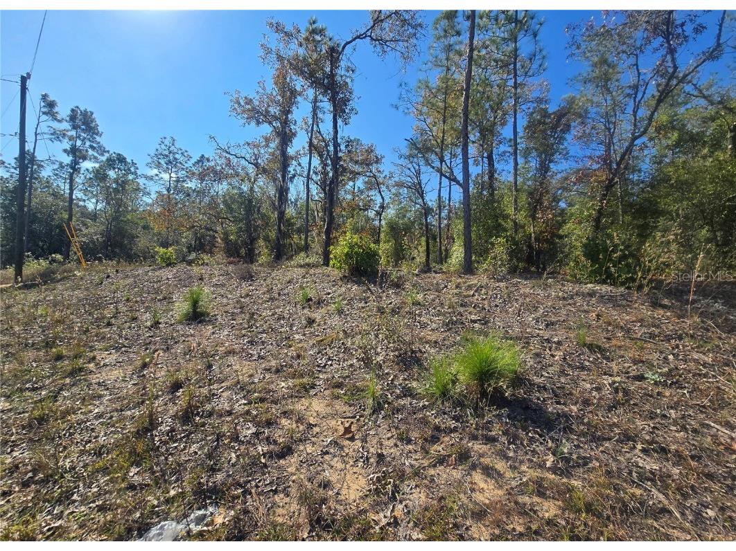 11136 N Vesta Point Dunnellon FL 34434 OM714280 image4