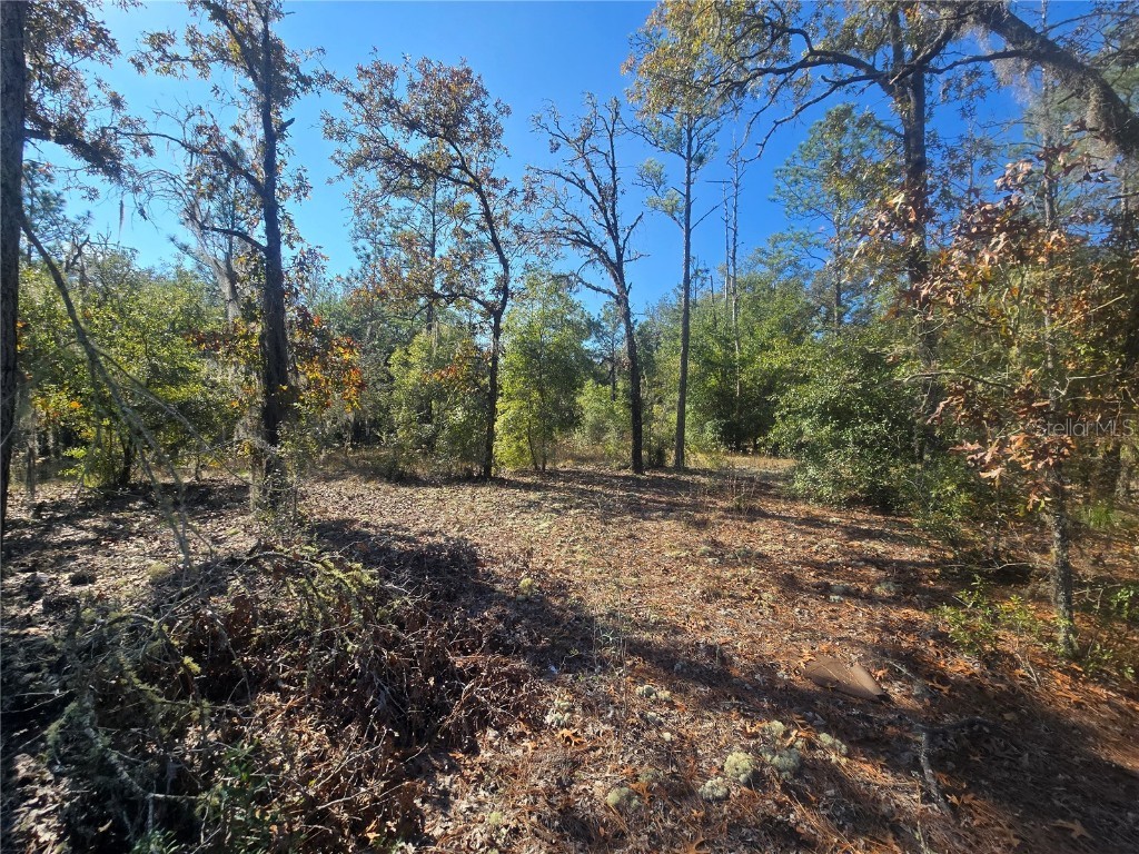 11136 N Vesta Point Dunnellon FL 34434 OM714280 image5